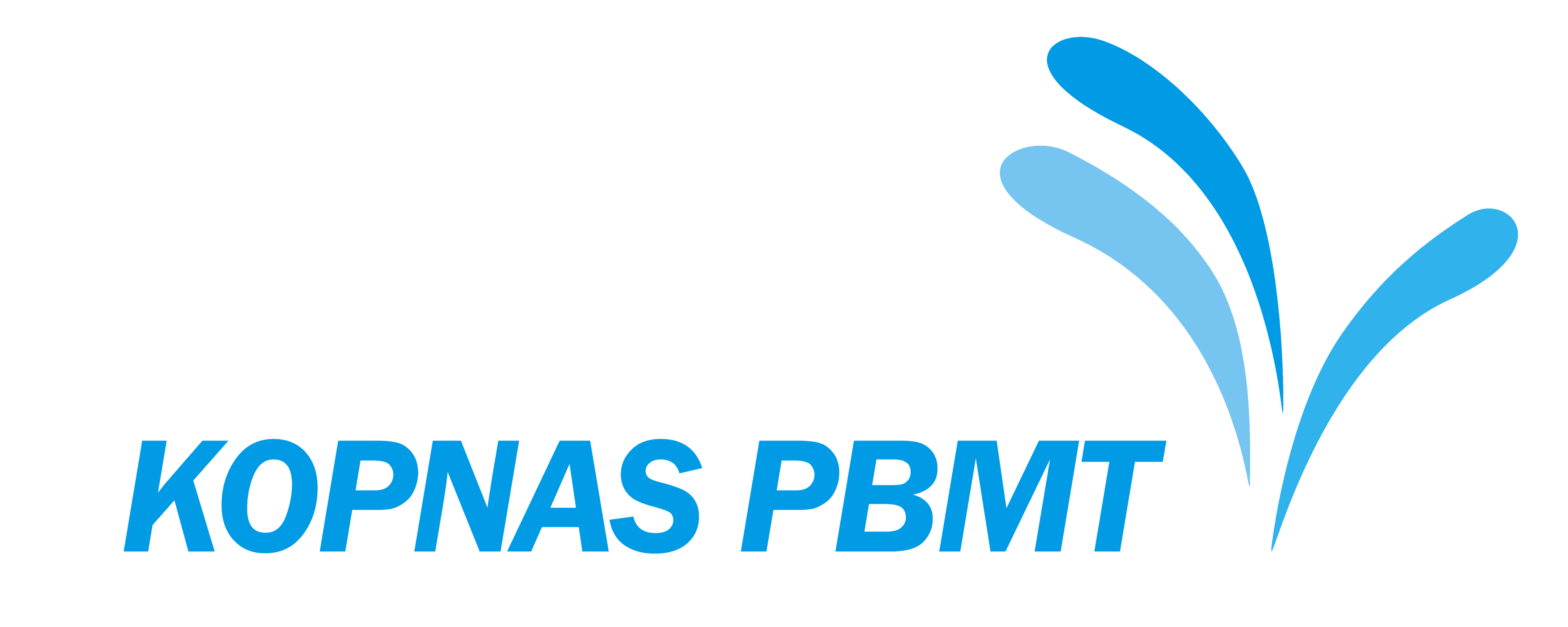 KOPNAS PBMT